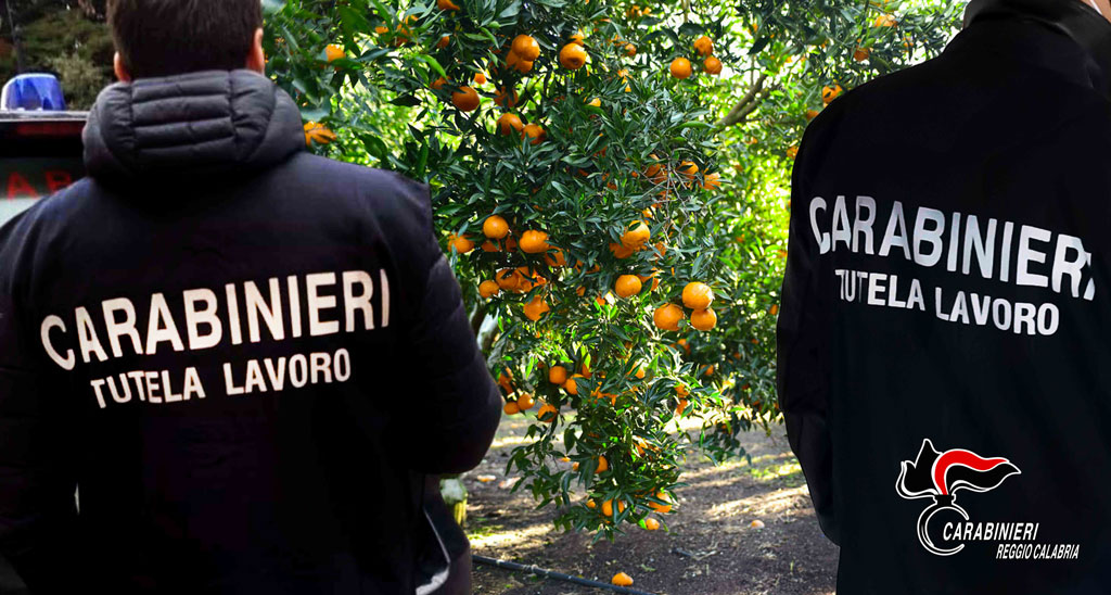 Da Sicilia a Calabria per raccolta agrumi, arrestati 4 caporali