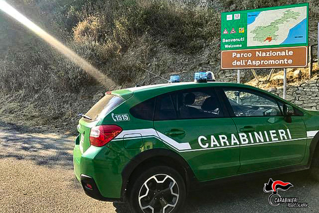In motorino con ghiri morti, bracconieri denunciati nel Reggino