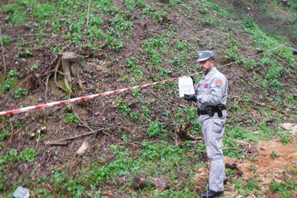 Taglio alberi in area arcidiocesi Cosenza, due denunce