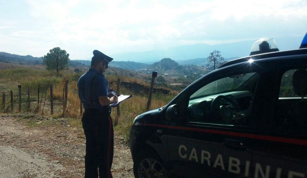 Fondi per 220mila euro ottenuti indebitamente, denunciati imprenditori agricoli nel crotonese