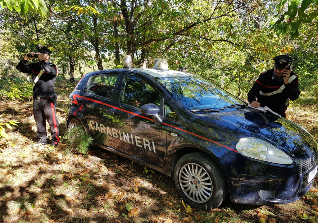 Anziano non fa rientro in casa riposo, ritrovato da carabinieri nel cosentino