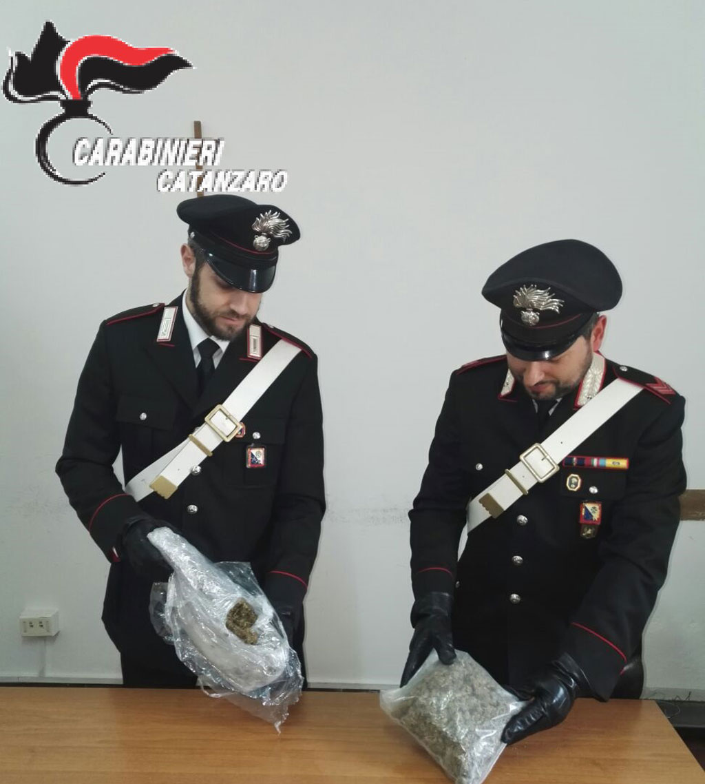 Deteneva marijuana nel giardino di casa, arrestato 37enne a Catanzaro lido