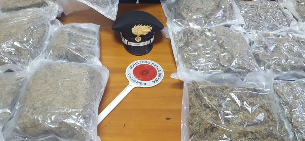 Viaggiava in auto con 12 kg marijuana nascosta sotto mandarini a Rosarno