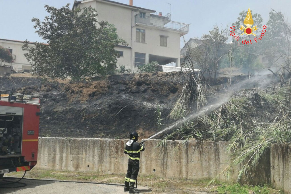 Incendio di sterpaglie vicino abitazioni a Centrache, intervengono vigili del fuoco