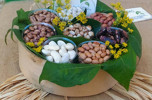 Nasce la comunità del cibo di Terra Madre dei produttori di fagioli del Reventino