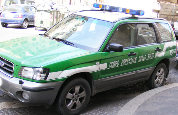 Falsi valori bollati, blitz del Cfs nel cosentino