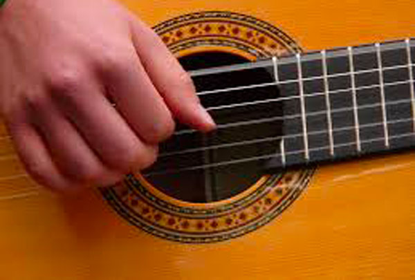 Concluso seminario sulla Chitarra dell'800 a Nocera Terinese
