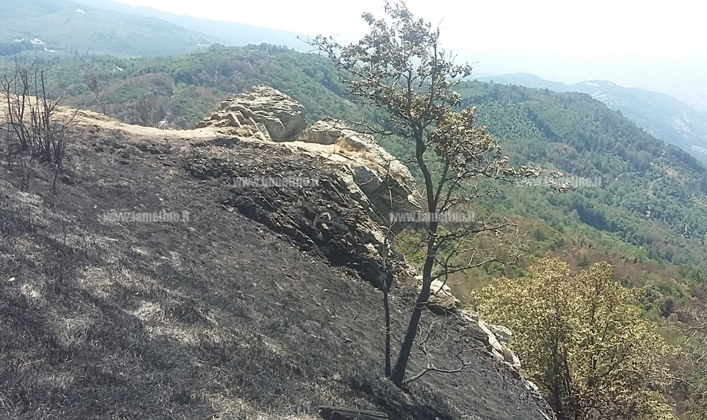 Domati i roghi nel Reventino a Decollatura e Platania, superata emergenza inizia conta dei danni - VIDEO