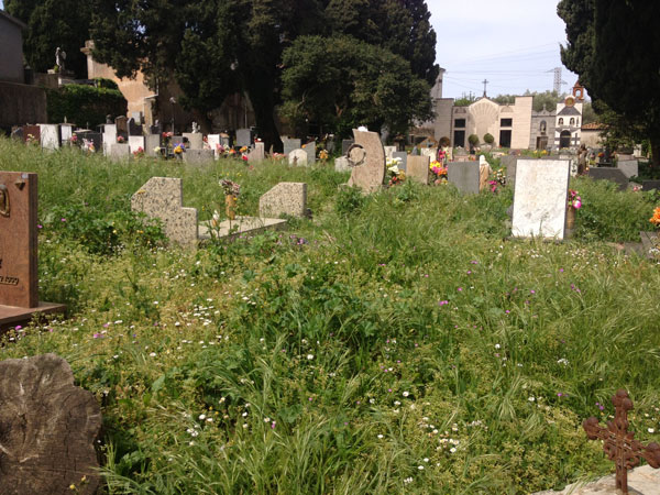 cimitero-3.jpg