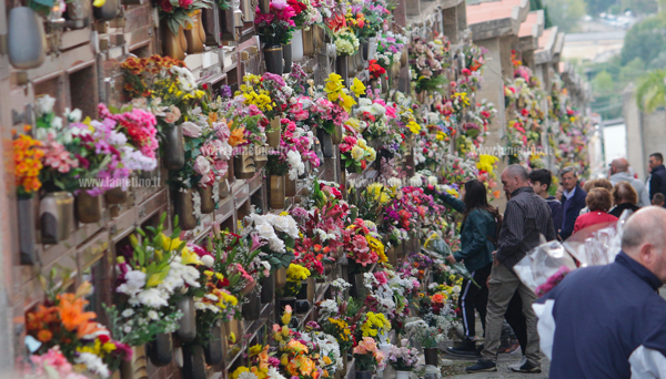 cimitero-fiori-nicastro-20191.jpg