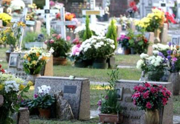 La denuncia del Codacons: “Tombe saccheggiate al cimitero di Catanzaro”