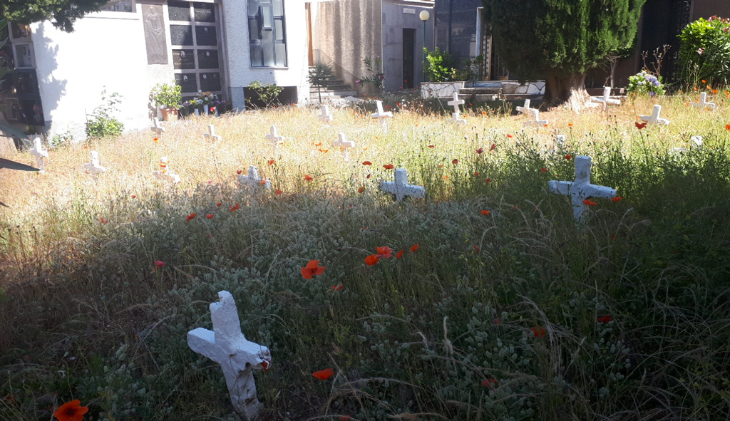 Consiglieri comunali: "Incuria al cimitero di Gizzeria, situazione intollerabile"