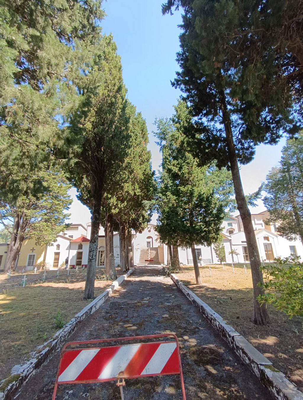 cimitero-platania-2025-07-08-alle-08.51.11_03137.jpg