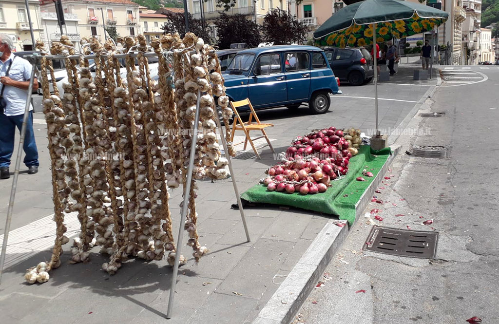 cipolla_d20ab.jpg
