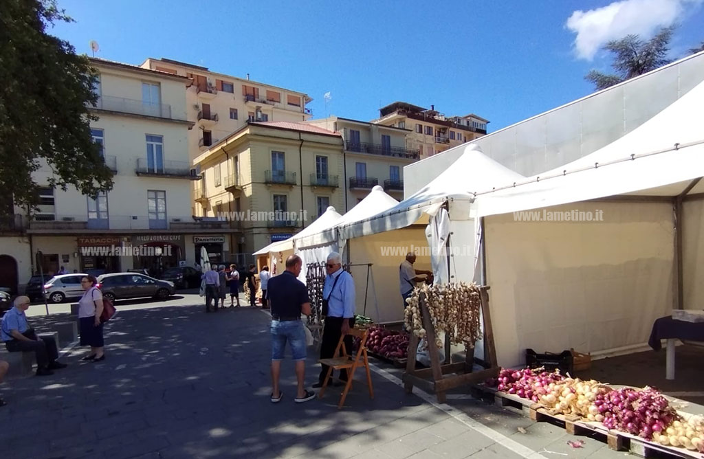 cipolle-aglio-2024-06-27-at-10.25.00_2d0b0.jpg