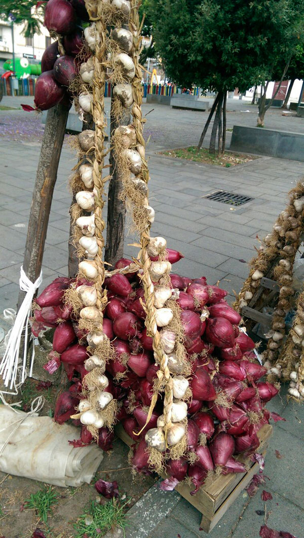 cipolle2.jpg