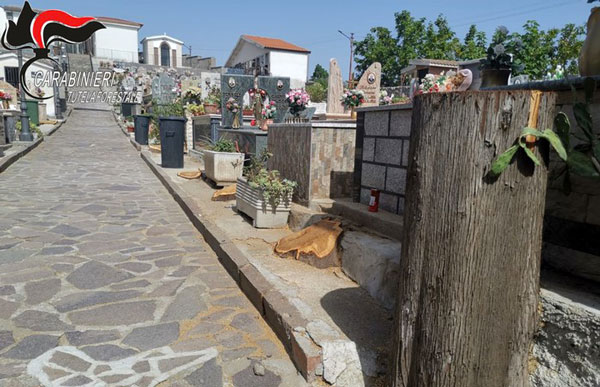 Taglio cipressi in cimitero, denunciato dirigente comunale a Caloveto