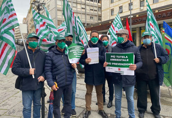 Forestazione, sindacati in piazza in Calabria: "Servono investimenti e lavoro"