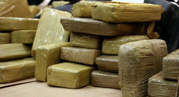 Sequestrati  55 panetti cocaina in container legname al porto di Gioia Tauro