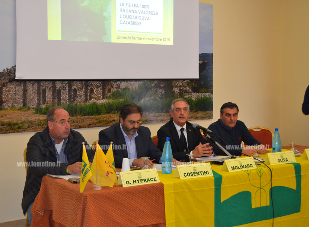 Lamezia, Coldiretti: ridurre filiera e contratti a tutela dell’olio d’oliva calabrese