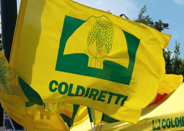 Coldiretti Calabria: “Alle aziende agricole serve gasolio, dal Dipartimento Agricoltura aumenta confusione e incertezza”