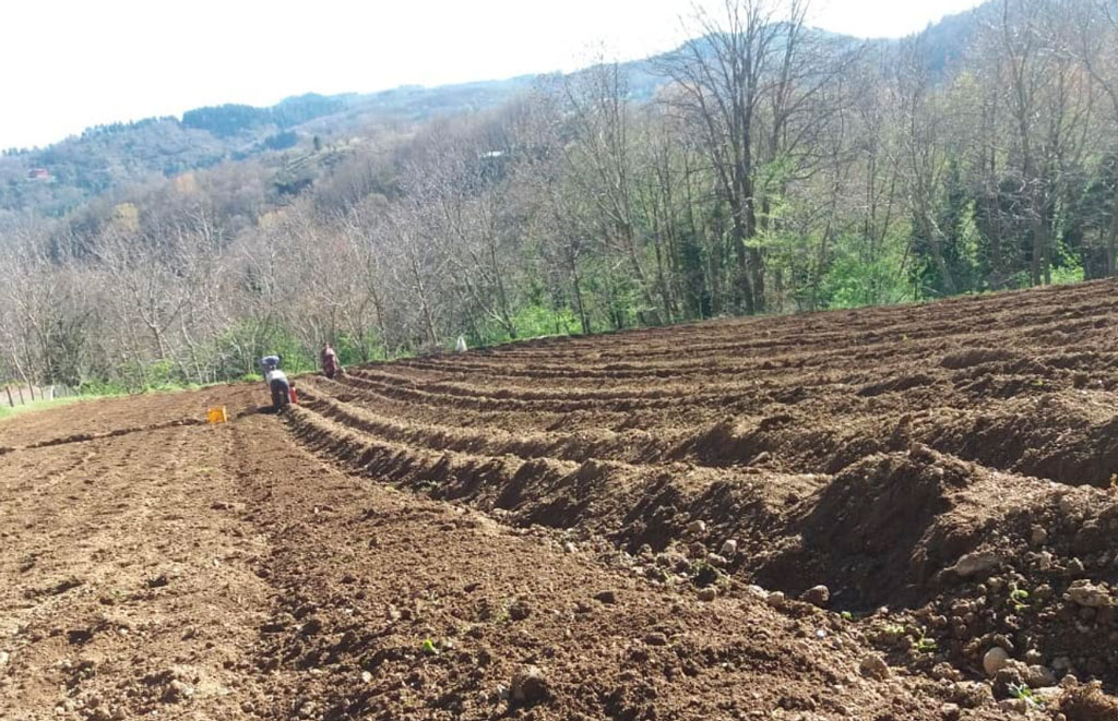 "Coltiviamo le tradizioni", al via laboratori didattici con l'associazione Conflenti trekking 