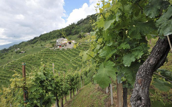 Spighe Verdi 2021, in Calabria riconoscimenti a 6 località