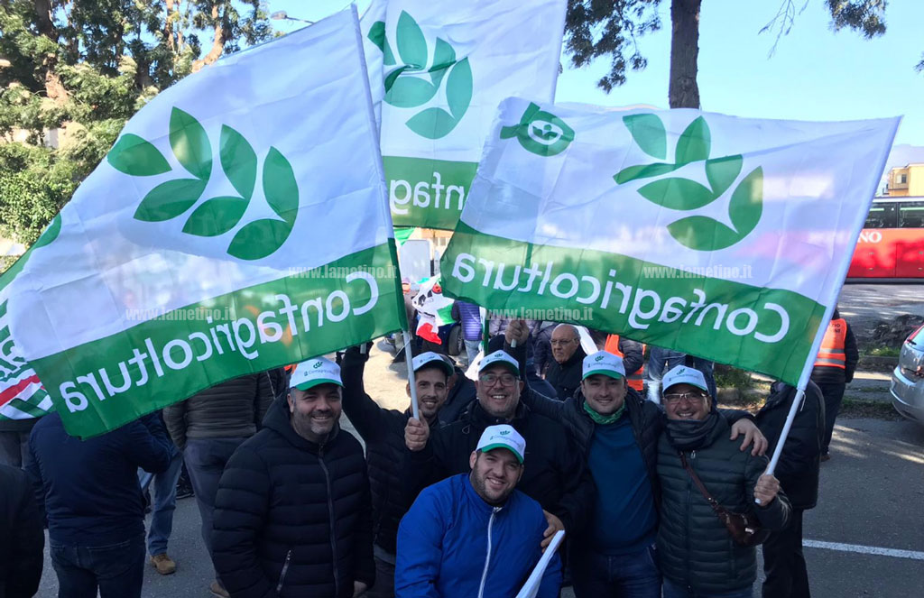 confagr-protesta-olivicoltori-20191.jpg