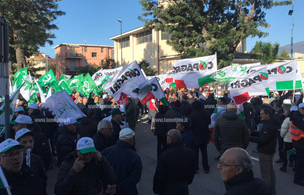 confagricl-20191.jpg