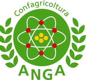 Lamezia, il 20 firma protocollo d’intesa tra Anci e Anga Calabria