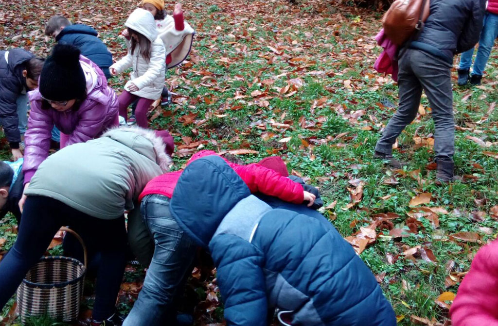 Conflenti trekking, passeggiata nel bosco per gli studenti della scuola primaria di Martirano Antico