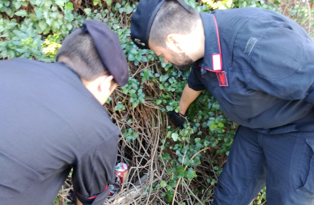 Controlli dei carabinieri nella provincia di Crotone: 6 denunce, trovati oltre 35 grammi di droga e 40 cartucce