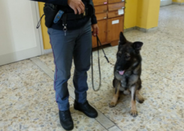 controlli-decollatura-scuola.jpg