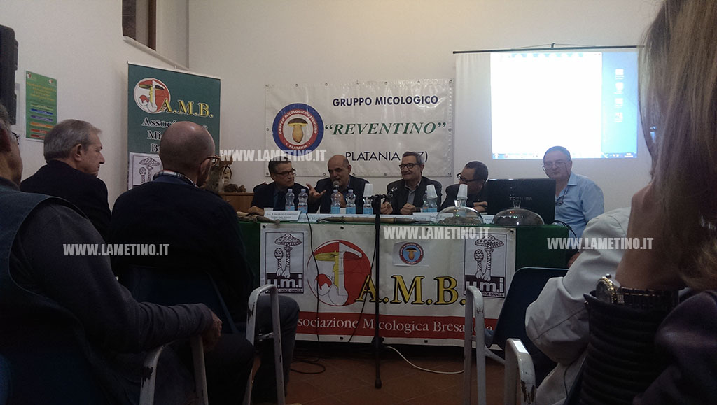 convegno.jpg