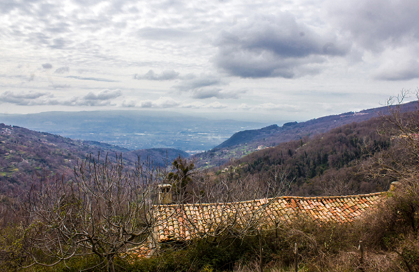 copia-Valle.jpg