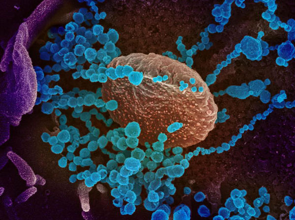 Coronavirus, settimana decisiva per capire andamento in Italia
