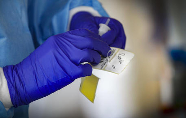 Coronavirus, in Calabria 32 nuovi contagi e nessun decesso