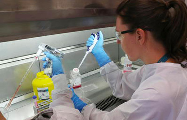 Coronavirus, in Calabria 127 nuovi positivi e 3 decessi