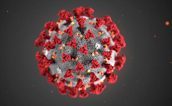 coronavirus_9ddf0.jpg