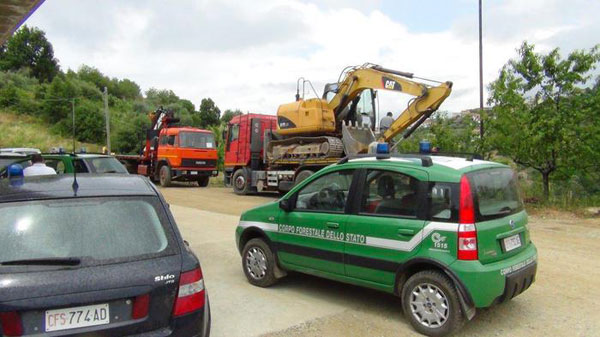 Calabria: Tagliati abusivamente diecimila alberi nel cosentino