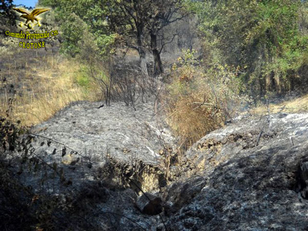 Brucia sterpaglie e provoca incendio boschivo nel crotonese, denunciato 