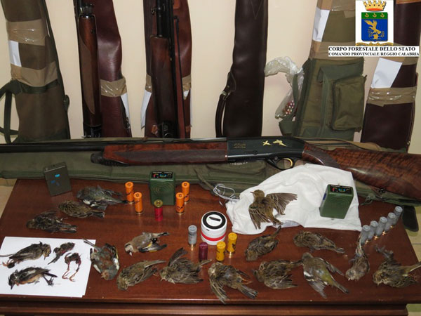 Calabria: Caccia, denunce e sequestri del Corpo forestale nel reggino