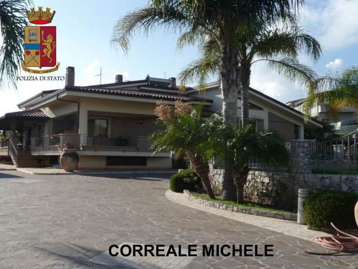 correale3.jpg