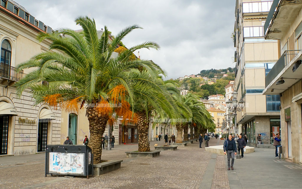 Lamezia, petizione popolare per l’istituzione della Festa della Calabria e dei Calabresi