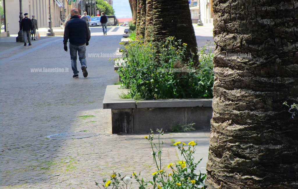 corso-nicotera-202021.jpg