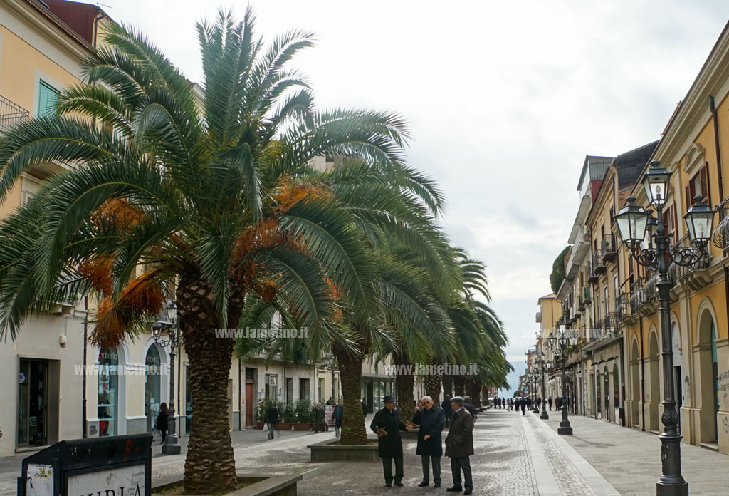 Associazione Lamezia Shopping: "Pronti a qualsiasi azione sociale su problematiche città"