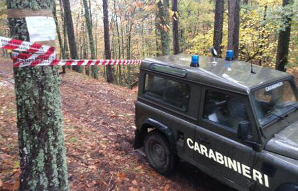 Tagliano alberi senza permesso, tre denunce a Rossano
