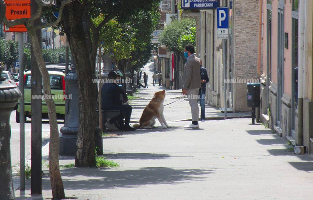 covid-2_39657.jpg