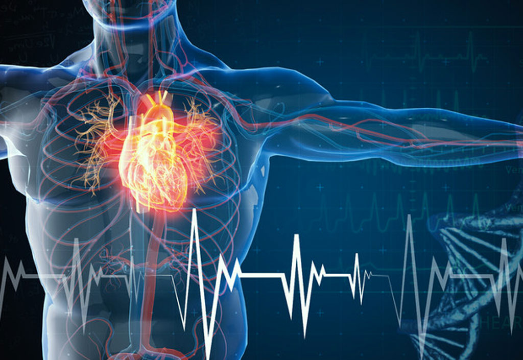 Congresso sui fattori di rischio cardiovascolare con il professore Indolfi il 19 maggio a Lamezia
