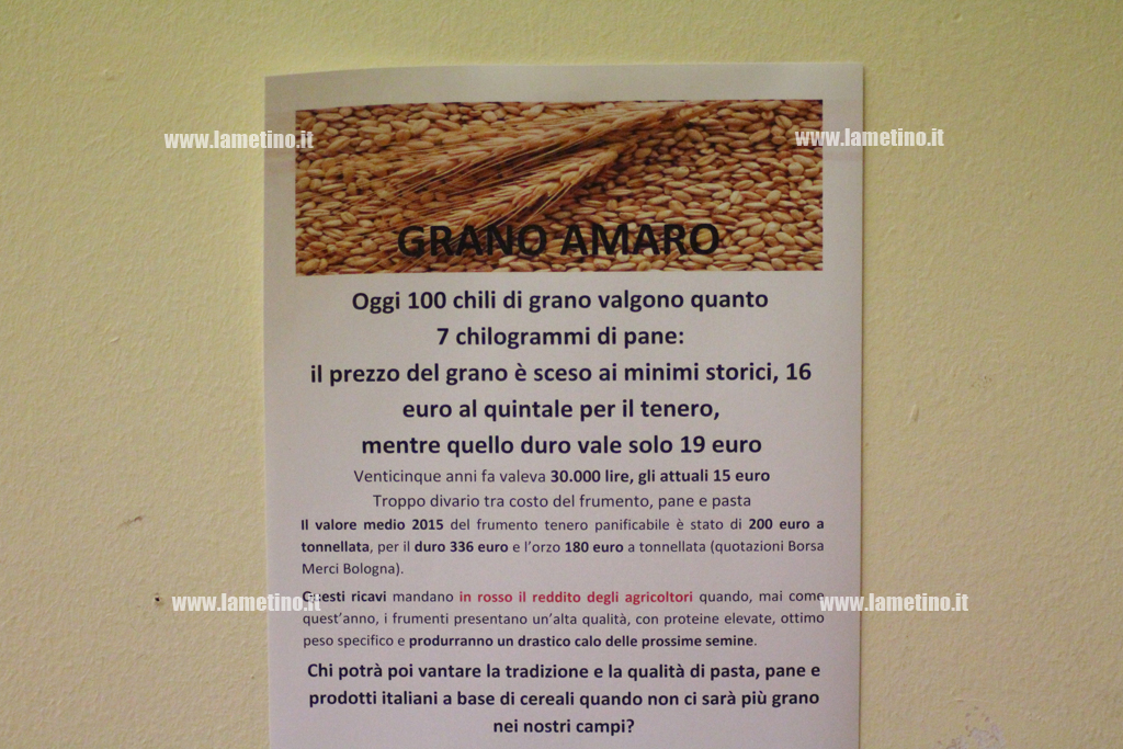 crisi-grano.jpg